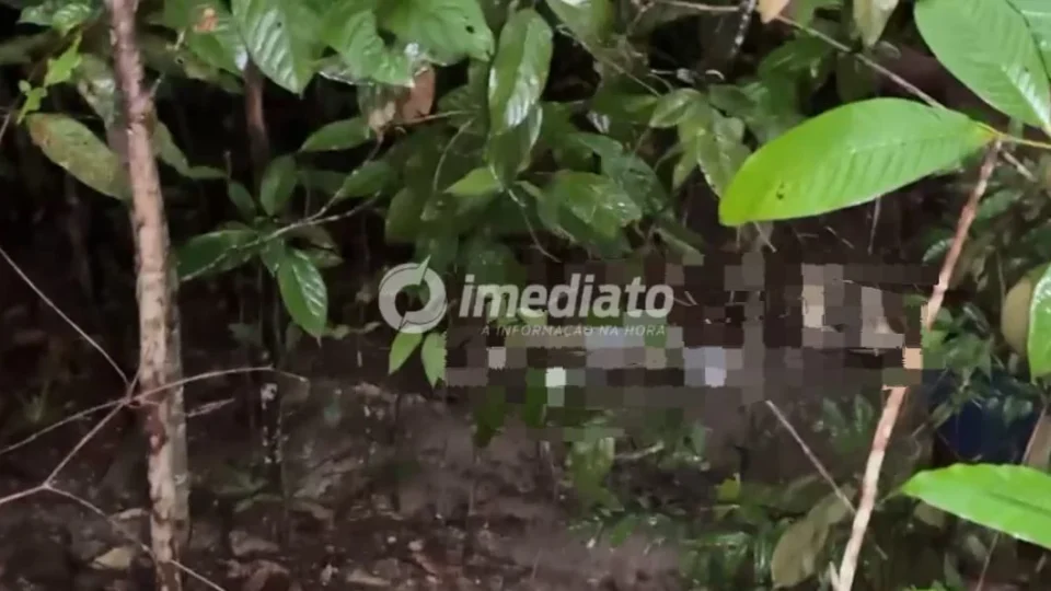 Imagens fortes: Corpo de homem é encontrado em área de mata no Ramal Ipiranga, na Zona Leste de Manaus