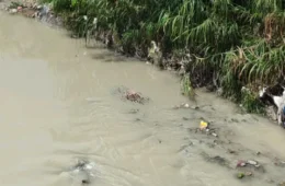 Imagens fortes: Corpo de homem com mãos amarradas é encontrado em igarapé no bairro Novo Aleixo, em Manaus