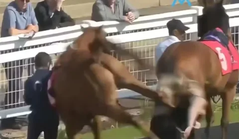 VÍDEO: Assistente de hipismo é atingida por coice de cavalo durante corrida no Hipódromo de Redcar