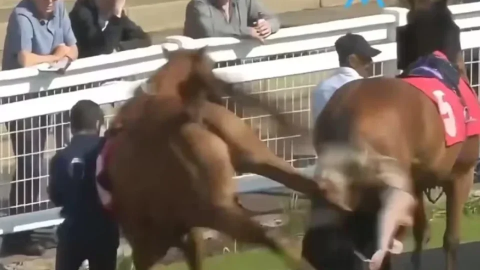 VÍDEO: Assistente de hipismo é atingida por coice de cavalo durante corrida no Hipódromo de Redcar
