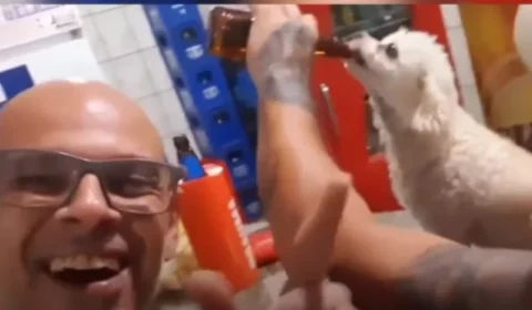 VEJA VÍDEO: Homem vira alvo de investigação após filmar cachorro consumindo cerveja em bar