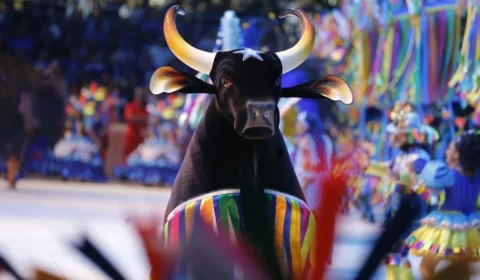 O título do 59º Festival de Parintins vence o Boi Caprichoso! Confira os detalhes das três noites de apresentação do boi azulado no Bumbódromo.