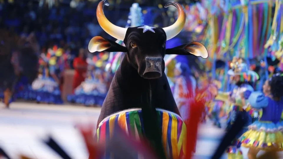 O título do 59º Festival de Parintins vence o Boi Caprichoso! Confira os detalhes das três noites de apresentação do boi azulado no Bumbódromo.