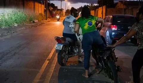 Cadela é arrastada por motocicleta e caso revolta moradores do interior do Pará