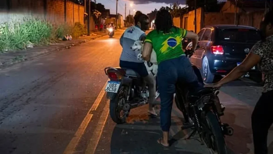 Cadela é arrastada por motocicleta e caso revolta moradores do interior do Pará