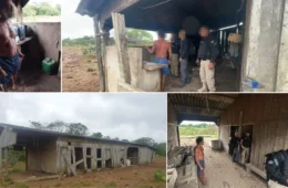 ESCRAVIZADO| Idoso é resgatado após 8 anos em condições degradantes em fazenda isolada no Pará