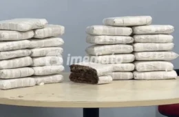 Rocam apreende 27 tabletes de skunk escondidos em kitnet no bairro Grande Vitória
