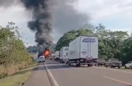 Carreta boiadeira pega fogo após acidente na BR-364; bezerros ficam soltos na pista