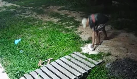 Homem é preso em flagrante por maus-tratos a gato em Muaná, no Marajó