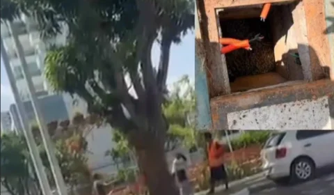Parque Linear da Doca, uma das obras da COP30, é alvo de furto de cabos; trio é flagrado