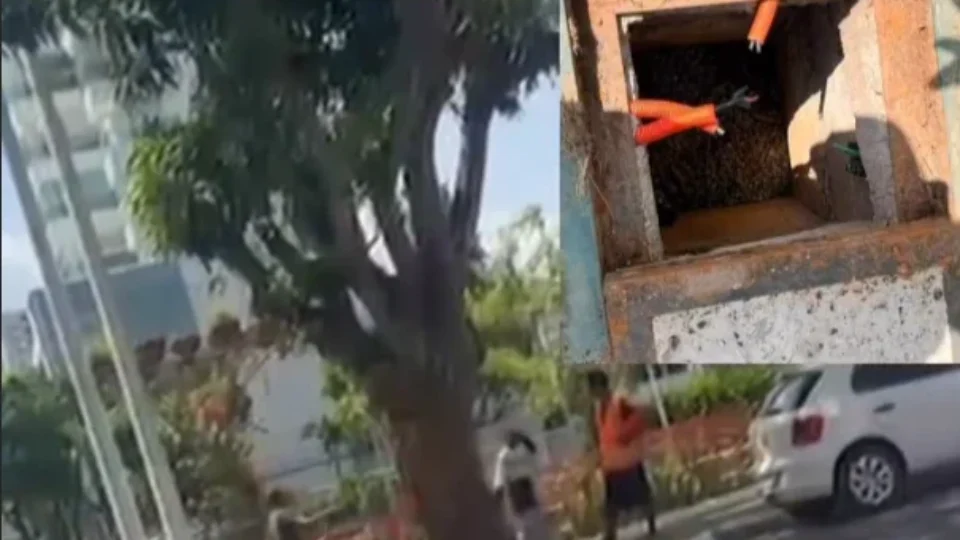 Parque Linear da Doca, uma das obras da COP30, é alvo de furto de cabos; trio é flagrado