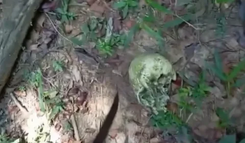 Polícia investiga ossada humana encontrada em área rural de Ipixuna do Pará