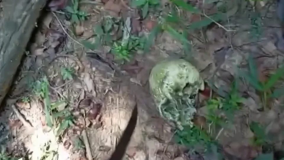 Polícia investiga ossada humana encontrada em área rural de Ipixuna do Pará