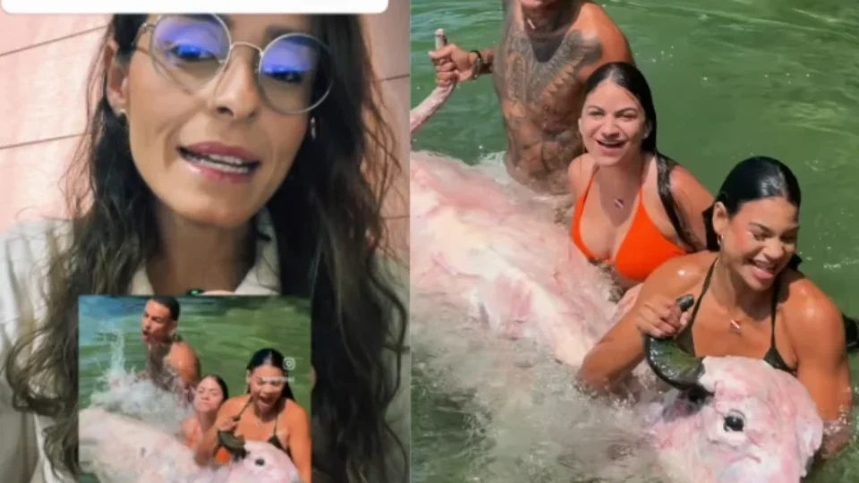 Tradição ou espetáculo? Vídeo de búfalo assado inteiro no Marajó reacende debate nas redes