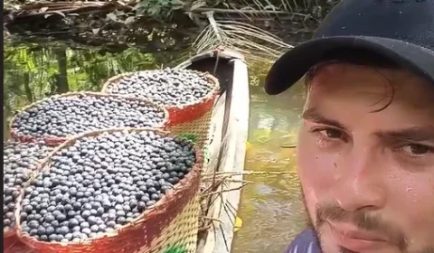 “Minha maior revolta”: trabalhador de Abaetetuba revela quanto ganha por lata de açaí e desabafa nas redes