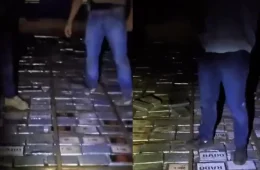 MEGAAPREENSÃO| PF intercepta 1,5 tonelada de cocaína escondida em veículo no Pará