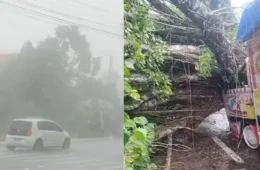 TEMPO| Chuva com ventania derruba árvores, causa apagões e transtornos em Mosqueiro