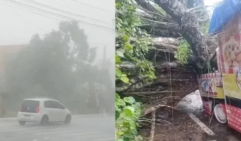 TEMPO| Chuva com ventania derruba árvores, causa apagões e transtornos em Mosqueiro