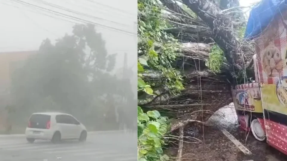 TEMPO| Chuva com ventania derruba árvores, causa apagões e transtornos em Mosqueiro