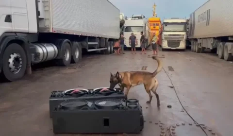 Cadela farejadora Ísis encontra drogas escondidas em caminhão durante operação fluvial no Pará