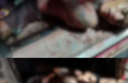 Suspeito de roubos e homicídios morre em confronto com a PM em Bragança, Pará