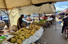 Feira do Nova Porto Velho reúne gastronomia, produtos regionais e movimenta o fim de semana