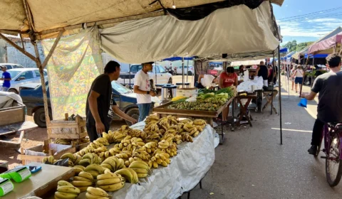 Feira do Nova Porto Velho reúne gastronomia, produtos regionais e movimenta o fim de semana