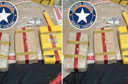 Nem a cesta básica escapou: drogas são descobertas durante envio ao Amazonas
