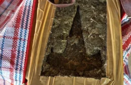 VEJA: Mais de 100 quilos de maconha são apreendidos em Costa Marques