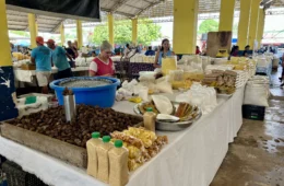 Domingos de tradição: Feira do Cai N’Água reúne produtos frescos e regionais