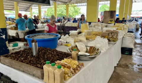 Domingos de tradição: Feira do Cai N’Água reúne produtos frescos e regionais