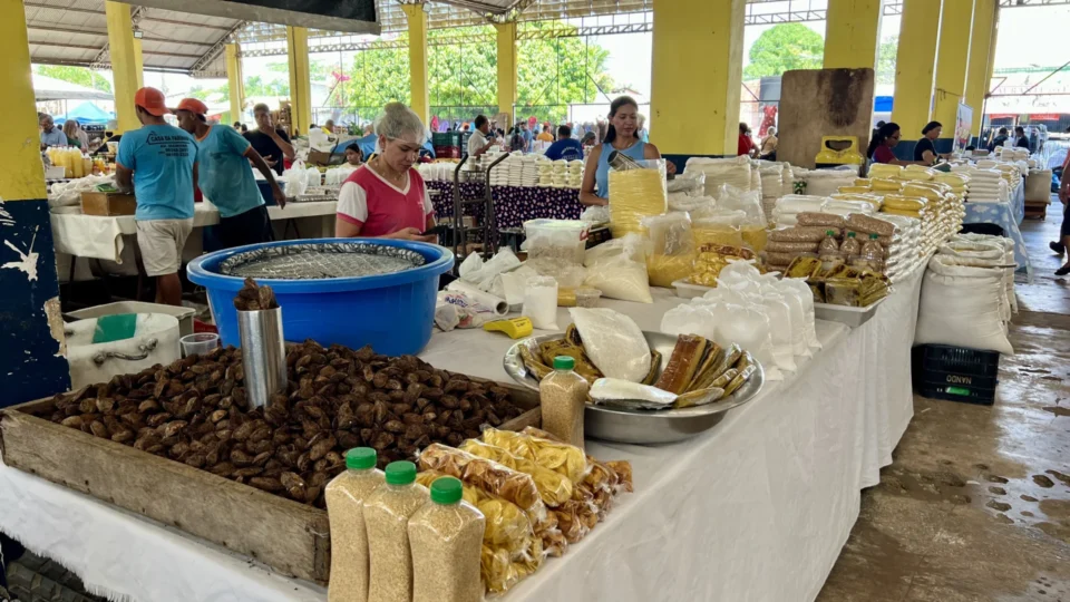 Domingos de tradição: Feira do Cai N’Água reúne produtos frescos e regionais