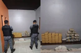 Grande apreensão: mais de 52 kg de drogas são retirados de circulação em Rondônia