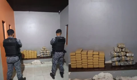 Grande apreensão: mais de 52 kg de drogas são retirados de circulação em Rondônia