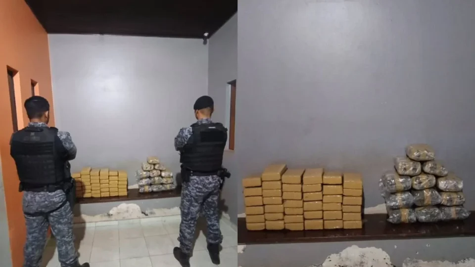 Grande apreensão: mais de 52 kg de drogas são retirados de circulação em Rondônia