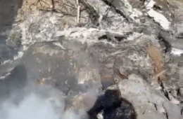 Corpo totalmente carbonizado é encontrado por populares em Boa Vista; veja o vídeo