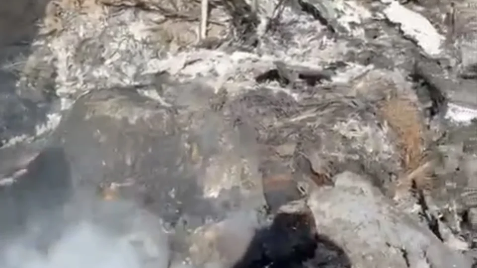 Corpo totalmente carbonizado é encontrado por populares em Boa Vista; veja o vídeo