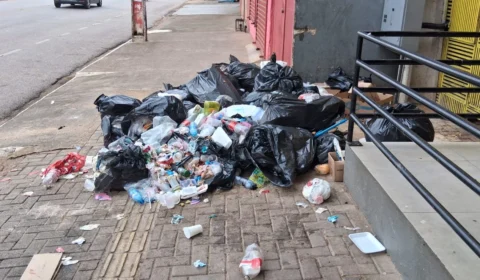 Descarte irregular de lixo pode ser denunciado pelo aplicativo PVH+