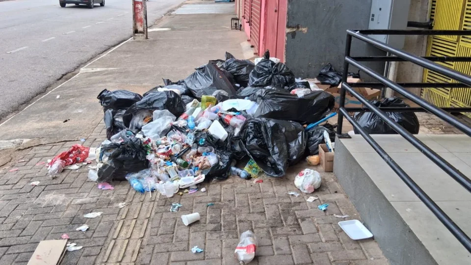 Descarte irregular de lixo pode ser denunciado pelo aplicativo PVH+