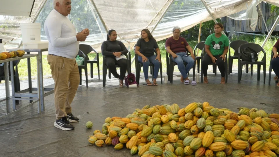 Chocolate, tecnologia e bioeconomia transformam realidade de comunidade ribeirinha no Pará