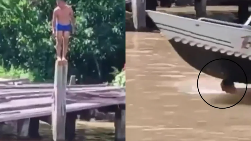 Vídeo impressionante mostra homem sendo atingido por lancha segundos após mergulho em rio no Pará