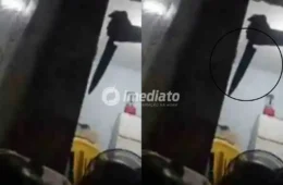 CRIME CHOCANTE: Vídeo mostra filho atacando o próprio pai a facadas durante transmissão ao vivo no Discord