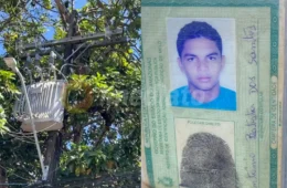 Saiba quem era o homem que tentou apanhar abacates e acabou morrendo eletrocutado no bairro Tancredo Neves