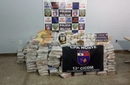 VEJA VÍDEO: Polícia Militar apreende mais de 770 tabletes de entorpecentes tipo skunk em residência, na Cidade Nova