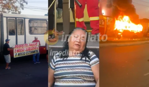 VEJA VÍDEO: Idosa desesperada desmaia dentro de micro-ônibus durante paralisação dos “amarelinhos” na ZL