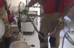 Visita inesperada: cobra é capturada dentro de residência em Boa Vista; veja vídeo