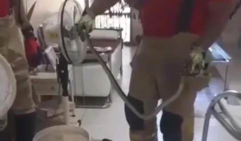 Visita inesperada: cobra é capturada dentro de residência em Boa Vista; veja vídeo