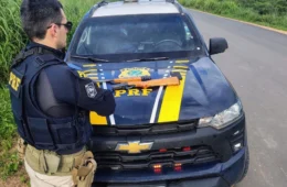 Flagrante: dois homens são presos por porte ilegal de arma de fogo em Roraima