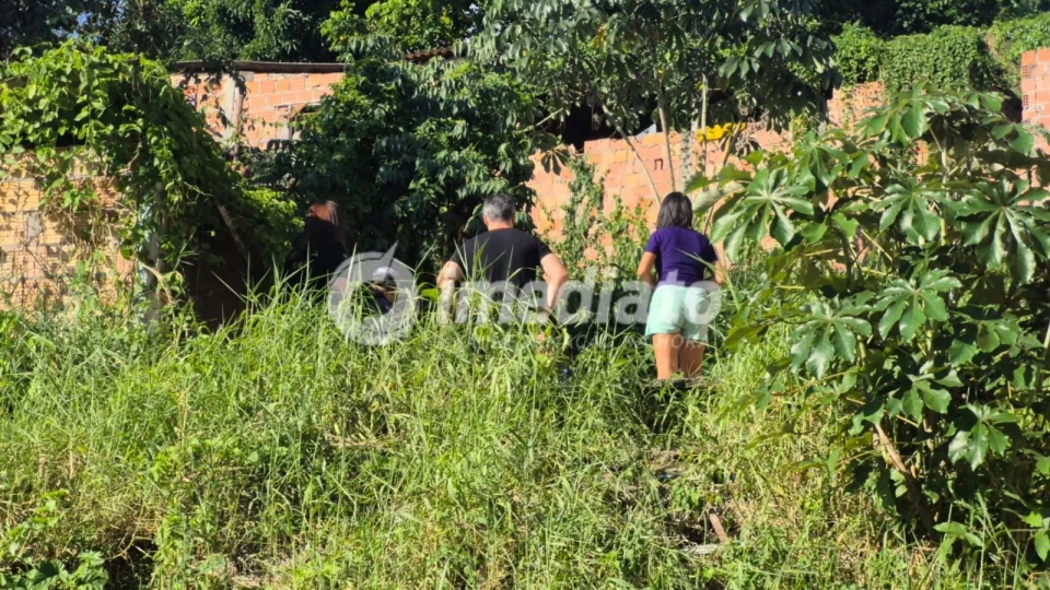 Cena chocante: Feto é encontrado enrolado em camisa após criança procurar bola em terreno abandonado no Jorge Teixeira