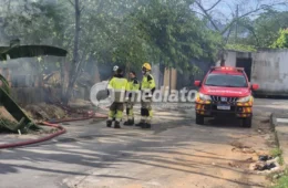 Veja: Incêndio em área de mata mobiliza equipes do Corpo de Bombeiros no bairro Nova Cidade, em Manaus